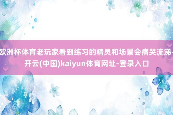欧洲杯体育老玩家看到练习的精灵和场景会痛哭流涕-开云(中国)kaiyun体育网址-登录入口