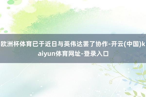 欧洲杯体育已于近日与英伟达罢了协作-开云(中国)kaiyun体育网址-登录入口